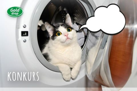 Konkurs "O czym myśli nasz kot"