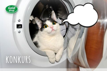 Konkurs "O czym myśli nasz kot"