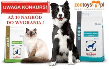 Konkurs "Tylko trzy kroki do nagrody od ZooToys.pl"