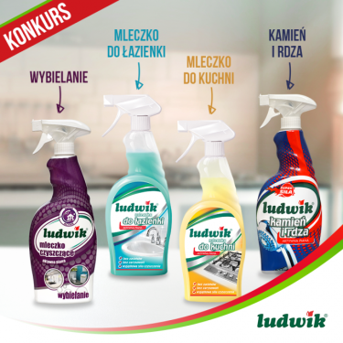 Konkurs "Czyszczenie z Ludwikiem"