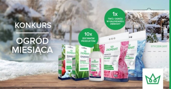 Konkurs fotograficzny "Ogród miesiąca"