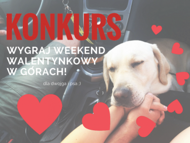 Walentynkowy konkurs 2017