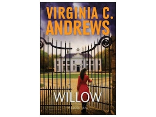 Wygraj książkę "Willow" do godz. 20:00