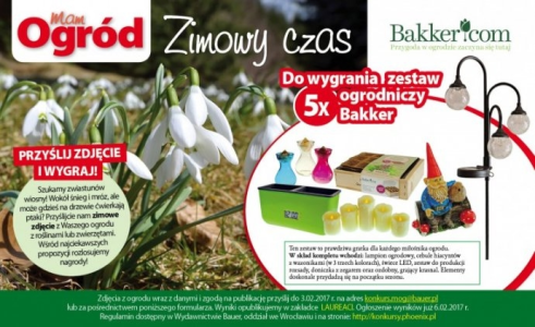 Konkurs "Zimowy czas"