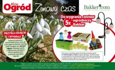 Konkurs "Zimowy czas"