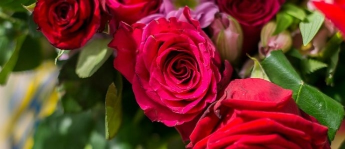 Wygraj bukiet kwiatów na Walentynki! Elbląg