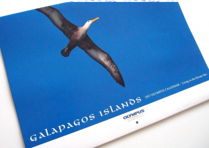 Konkurs "Wasza fotograficzna zima"