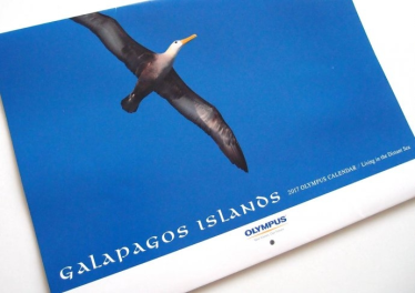 Konkurs "Wasza fotograficzna zima"