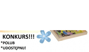 Wygraj zabawkę dla dziecka!