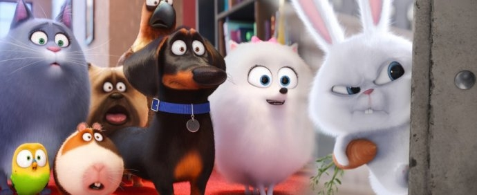 Zwierzakowy konkurs z bajką i pluszakami!