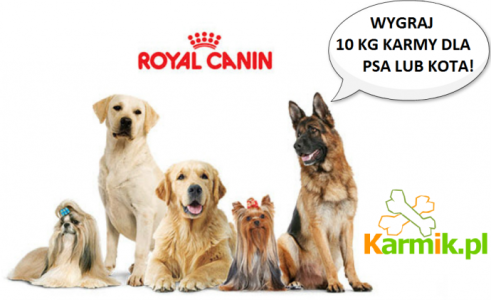 Wygraj 10kg karmy Royal Canin dla psa lub kota
