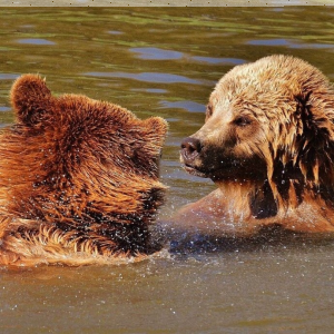 Konkurs "Pokaż nam, jak wielka jest Twoja miłość do czytania!"