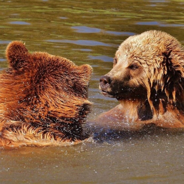 Konkurs "Pokaż nam, jak wielka jest Twoja miłość do czytania!"