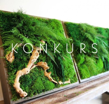 Wygraj naturalny, ręcznie wykonywany OBRAZ BOTANICZNY