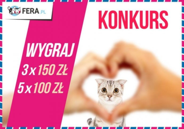 Konkurs na Walentynki