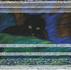 Konkurs na Dzień Kota