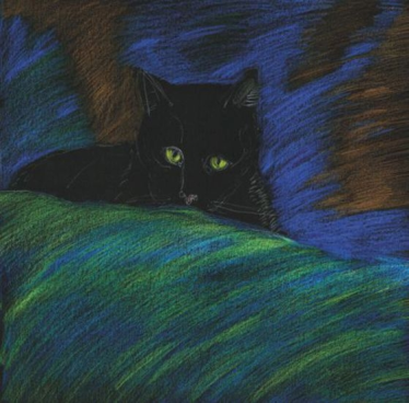 Konkurs na Dzień Kota