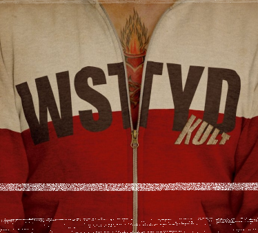 Wygraj płytę Kult - "Wstyd – suplement"