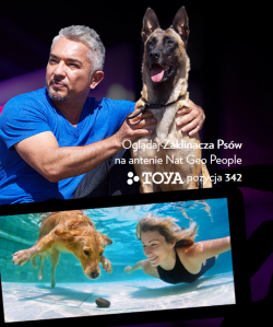 Konkurs "Ty i Twój pies"