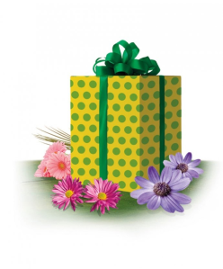 Wygraj wielką paczkę ogrodnika z Bakker.com!