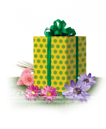 Wygraj wielką paczkę ogrodnika z Bakker.com!