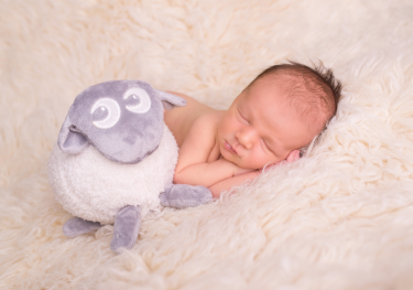 Konkurs "Przetestuj Szumiącego Baranka!"