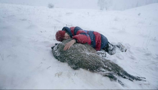 Konkurs 'Planetarium' i 'Pokot' w DCF-ie, Wrocław