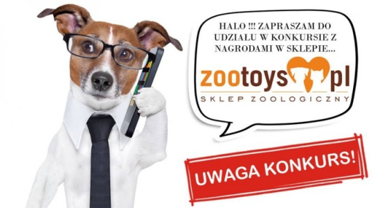 Wygraj bon o wartości 50zł na zakupy w sklepie ZooToys.pl