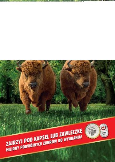 Konkurs "Dwa Szybkie Żubry wracają z unikalną nagrodą" 18+