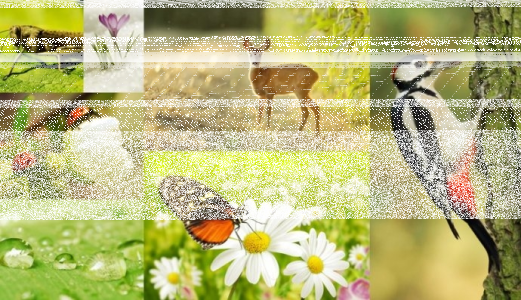 Konkurs "Co nas budzi na wiosnę? Dźwiękowa zabawa z wyjątkowymi nagrodami" Bałystok