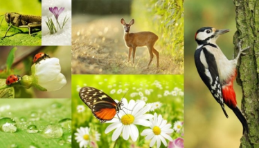 Konkurs "Co nas budzi na wiosnę? Dźwiękowa zabawa z wyjątkowymi nagrodami" Bałystok