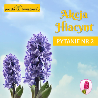 Poczuj wiosnę i weź udział w konkursie "Akcja Hiacynt"