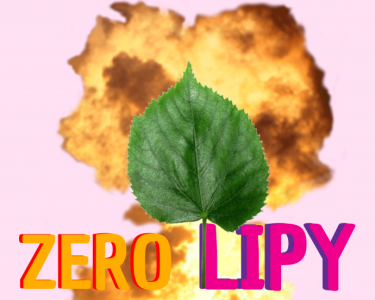 Konkurs "Zero Lipy!"