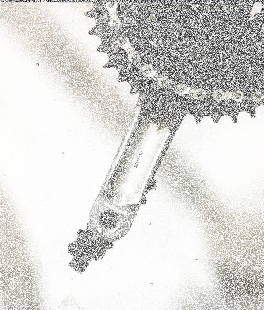 Konkurs "Detal w Kadrze"