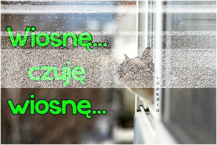 Konkurs "Szukamy wiosny - wygraj gadżety"