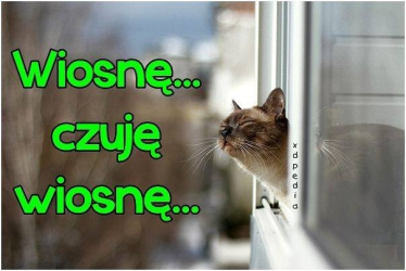 Konkurs "Szukamy wiosny - wygraj gadżety"