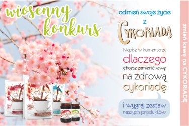 Wiosenny konkurs Cykoriady