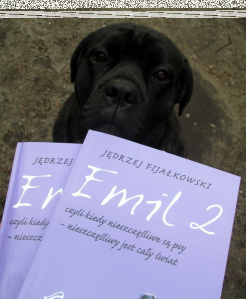 Konkurs "Mój przyjaciel pies"