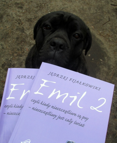 Konkurs "Mój przyjaciel pies"