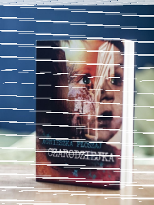 Wygraj egzemplarz książki "Czarodziejka" Agnieszki Płoszaj