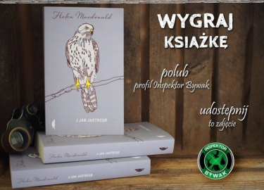 Wygraj książkę Doroty Gąsiorowskiej