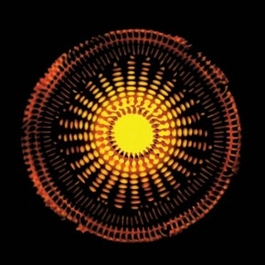 Wygraj najnowszą płyta zespołu Absentia