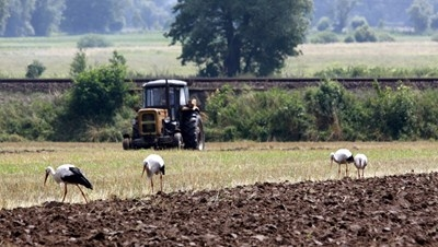 Konkurs dla sołectw "Najpiękniejsza Wieś Lubuska"