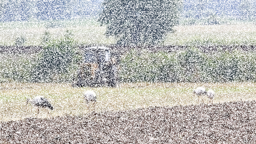 Konkurs dla sołectw "Najpiękniejsza Wieś Lubuska"
