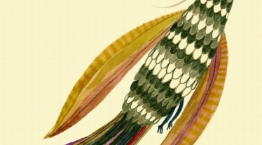 Wygraj książki Wydawnictwa Warstwy, Wrocław