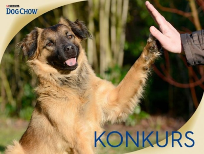 Konkurs "Mój pies ma dobre maniery"