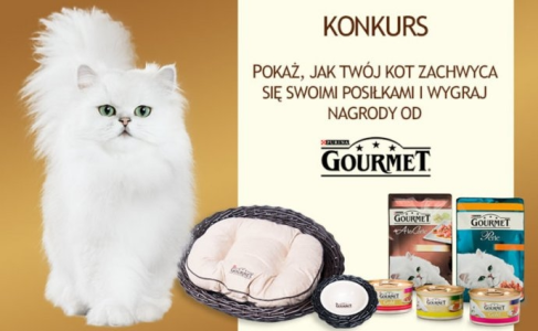 Konkurs "Kot koneser"