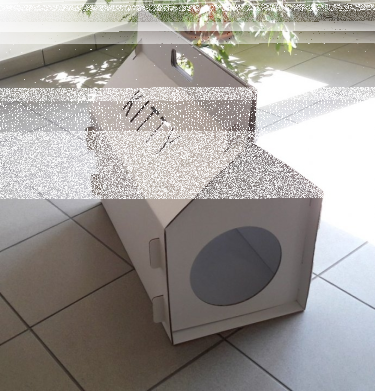 Wygraj domek kartonowy z imieniem kota