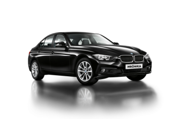 Loteria "15 lat PSB" Mrówka