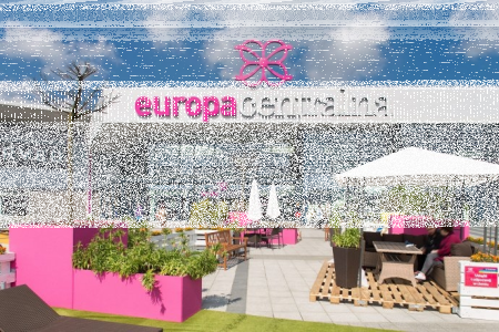 Konkurs "Kocie piękności"